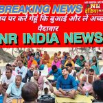 समय पर करें गेहूं कि बुआई और ले अच्छी पैदावार